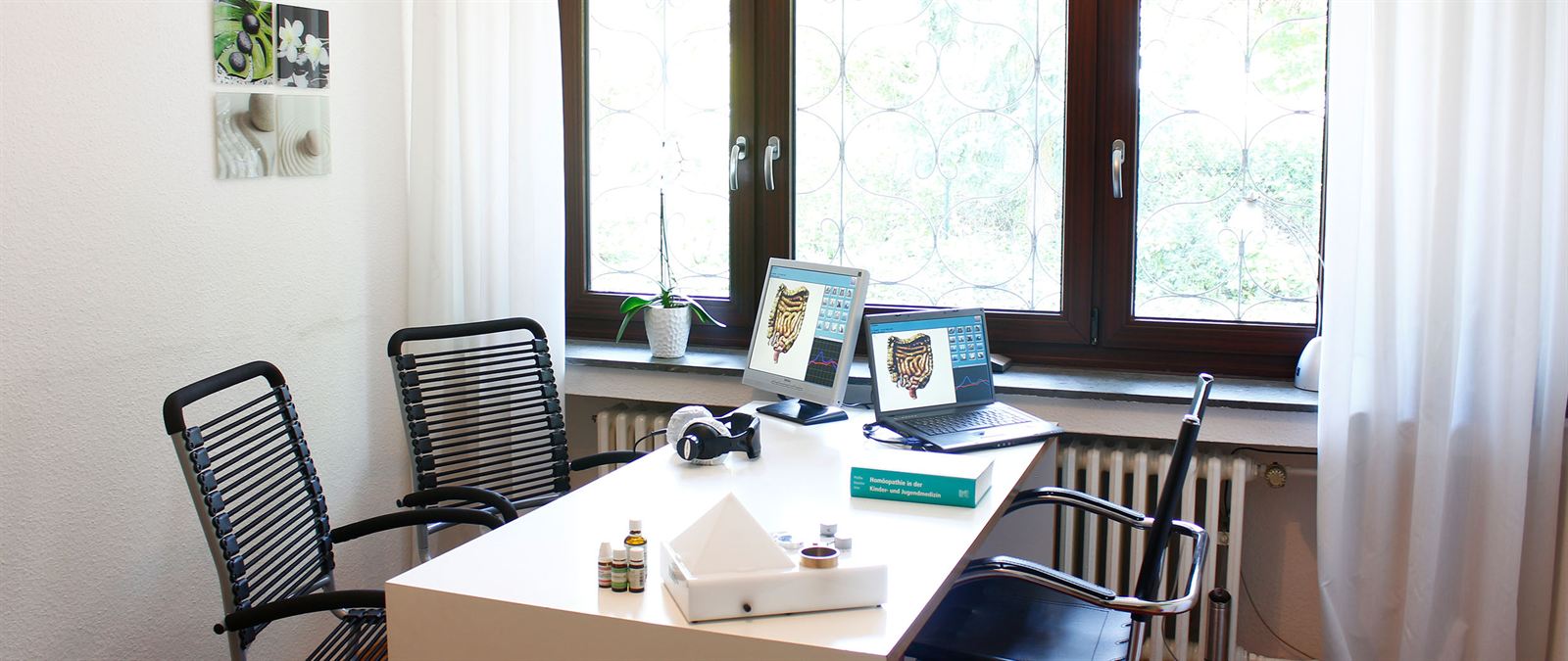 Heller Behandlungsraum der Naturheilpraxis mit Schreibtisch und Blick in den Garten